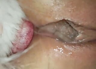 Anal