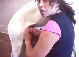 Erogenous slut pounded by a passionate beast